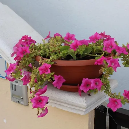 Casa Fermi Apartmán