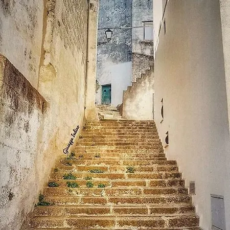 Daire Casa Fermi